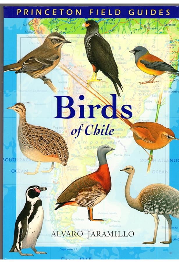 Birds of Patagonia, Tierra Del Fuego and Antarctic Peninsula: The